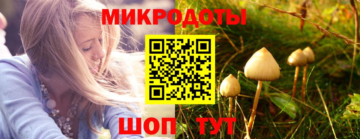 Псилоцибиновые грибы MAGIC MUSHROOMS Орёл