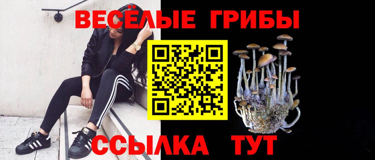 цена   Галлюциногенные грибы мицелий  Псилоцибиновые грибы мухоморы  Вход с VPN  Орёл 